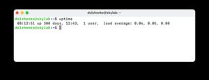 Output of the uptime command displaying 300 days of uptime