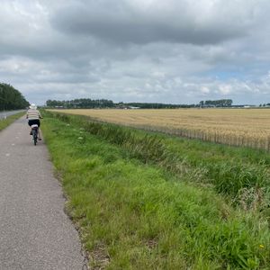 A cyclist on a bike lane next to a wheat field under gloomy skies