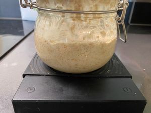 Sourdough starter in a jar